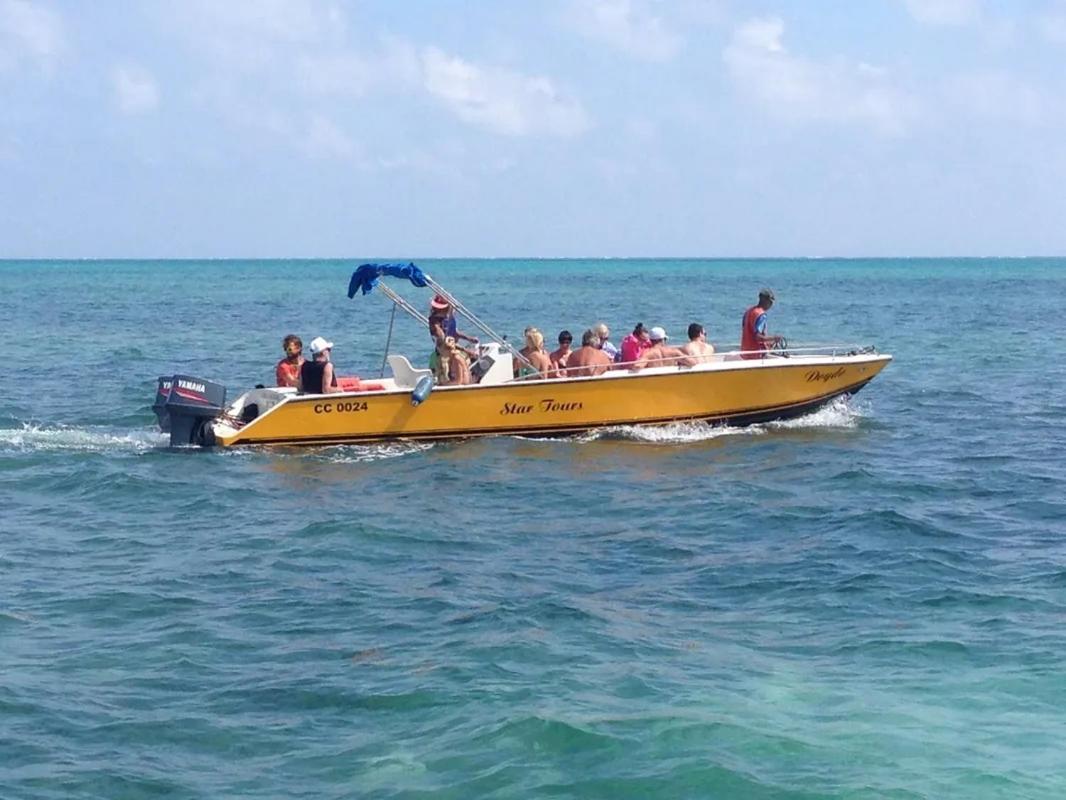 Tropical Paradise كاي كولكر المظهر الخارجي الصورة