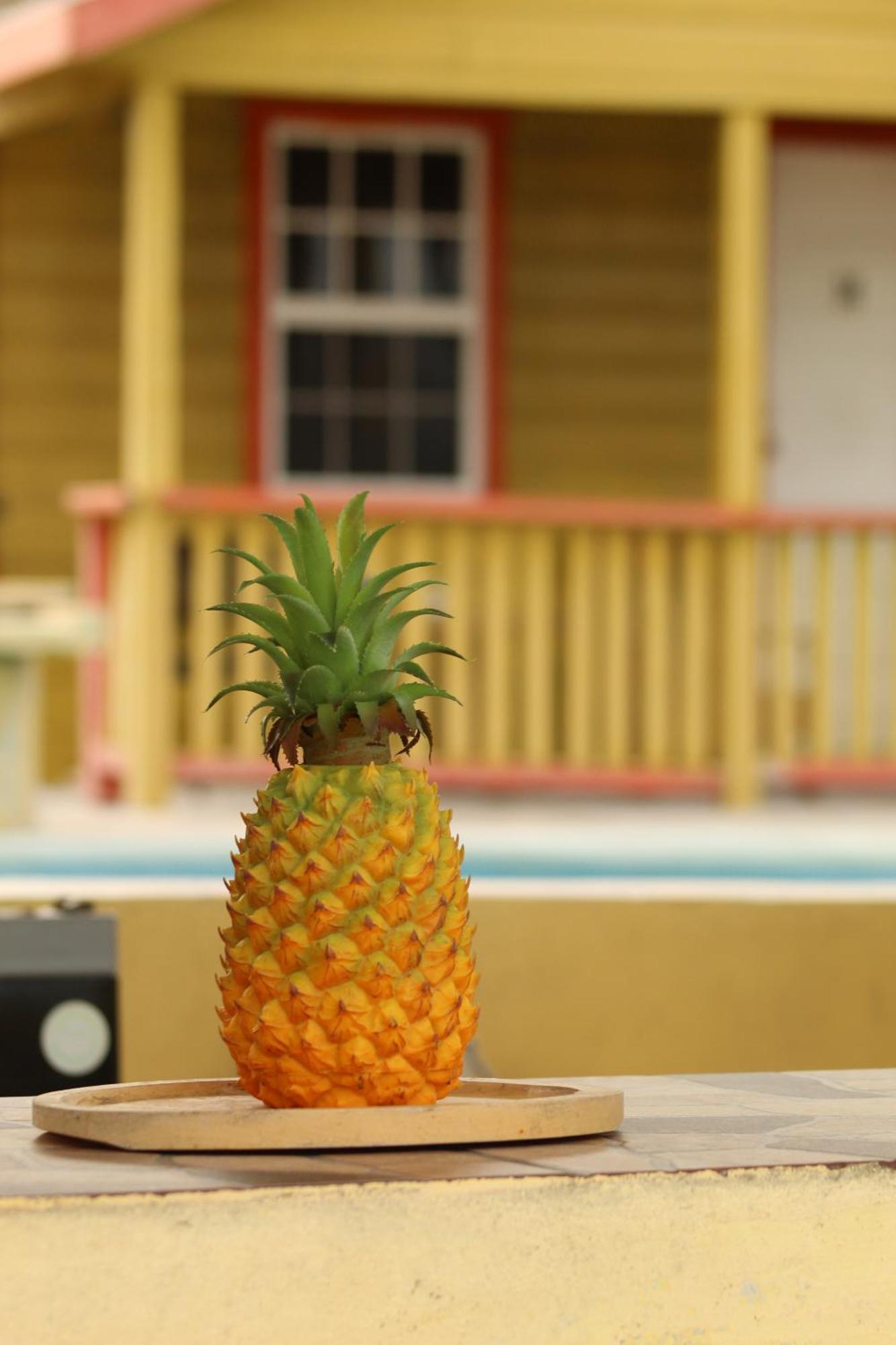 Tropical Paradise كاي كولكر المظهر الخارجي الصورة