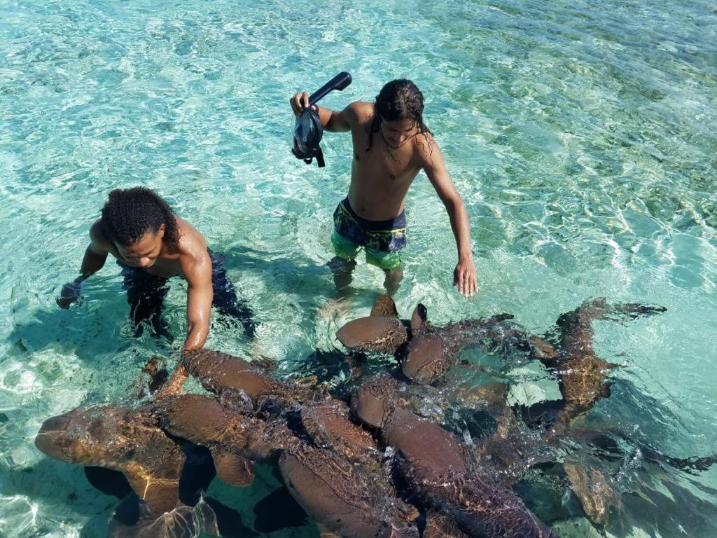 Tropical Paradise كاي كولكر المظهر الخارجي الصورة