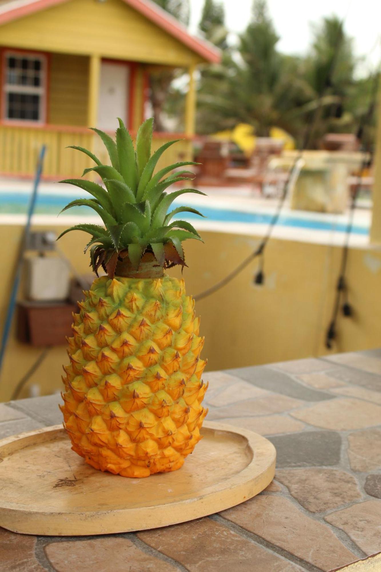 Tropical Paradise كاي كولكر المظهر الخارجي الصورة